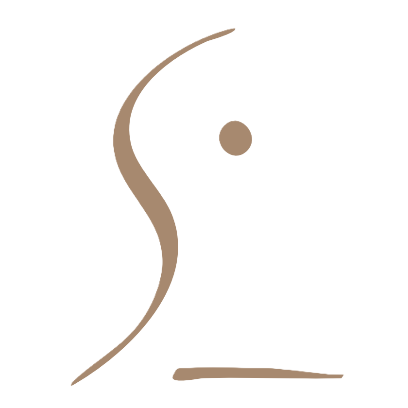 SL日光國際 Logo